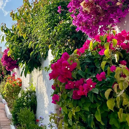 Апартаменты Capistrano Village Casa Emma Casasol